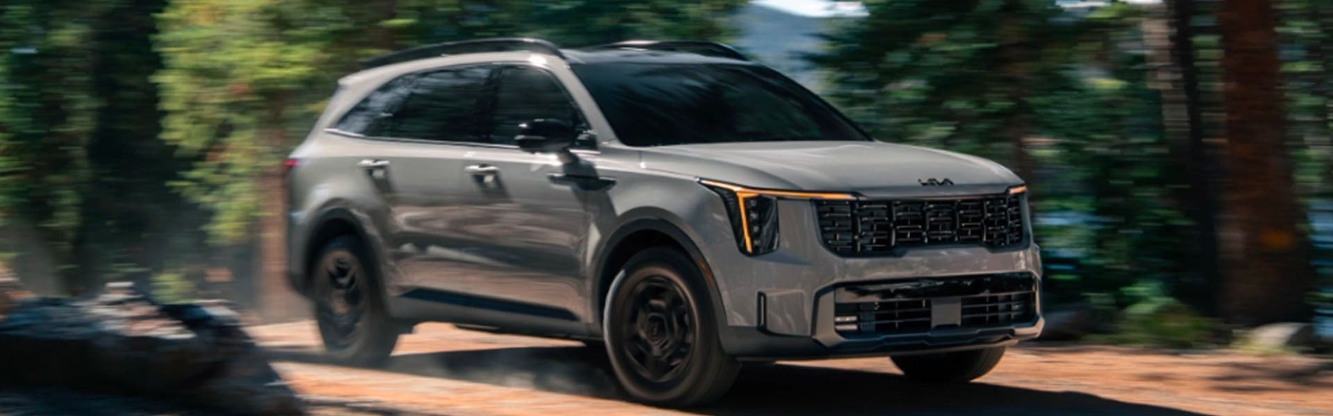 Light gray SUV on a dirt road, trees blurred in the background.
